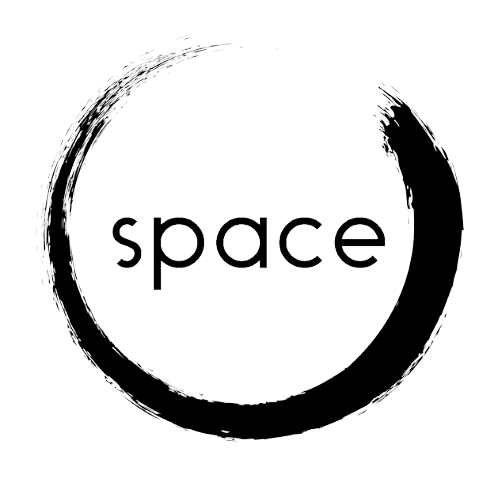Space Logo